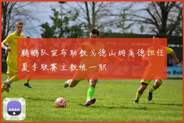 鹈鹕队宣布助教戈德山姆高德担任夏季联赛主教练一职
