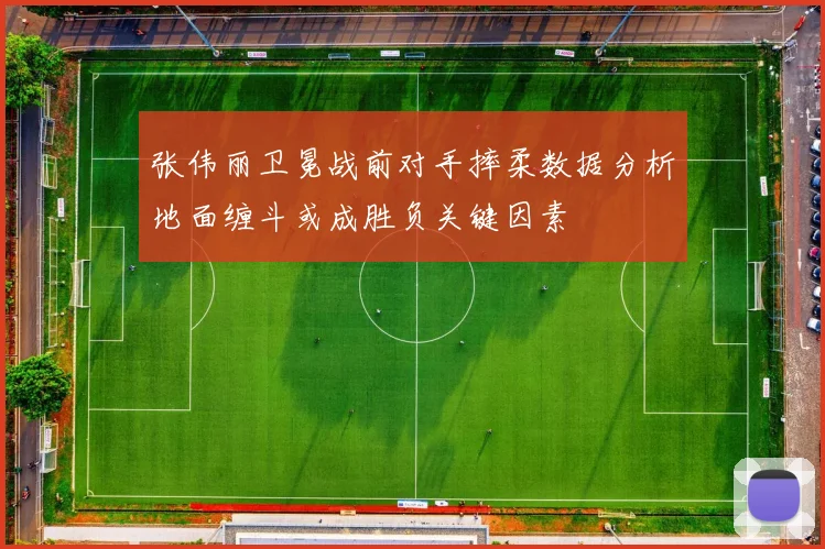 张伟丽卫冕战前对手摔柔数据分析地面缠斗或成胜负关键因素