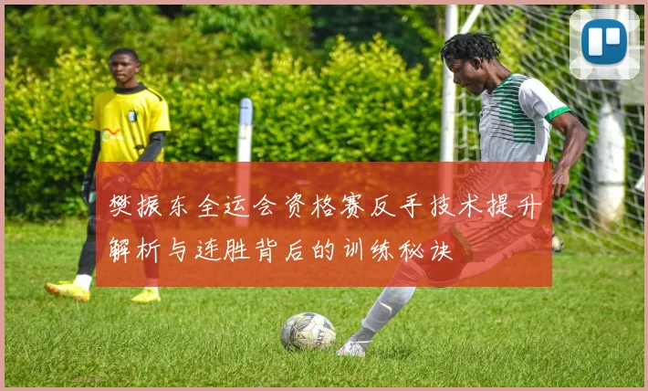 樊振东全运会资格赛反手技术提升解析与连胜背后的训练秘诀